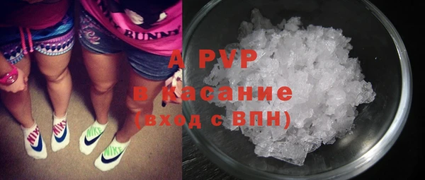 твердый Магас