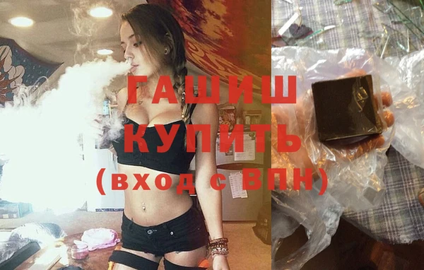 твердый Магас