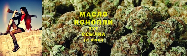 твердый Магас