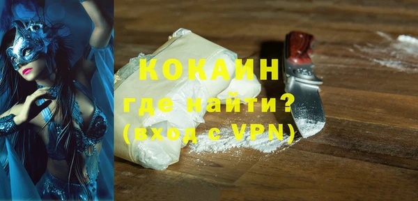 стаф Дмитровск