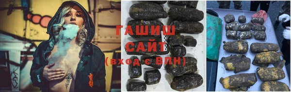 стаф Дмитровск