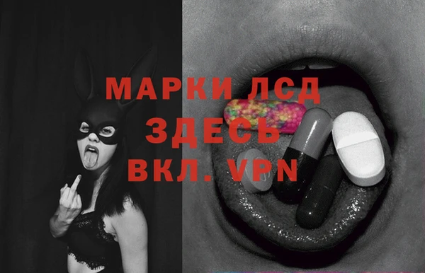 твердый Магас