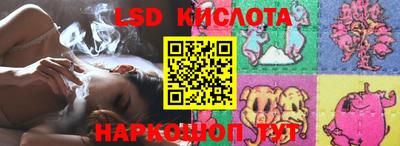 кокс Гатчина