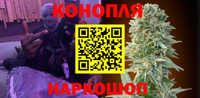 кокс Гатчина