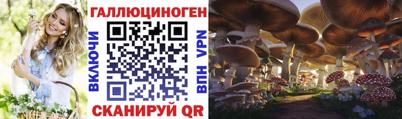 дарнет шоп Дивногорск Галлюциногенные грибы MAGIC MUSHROOMS