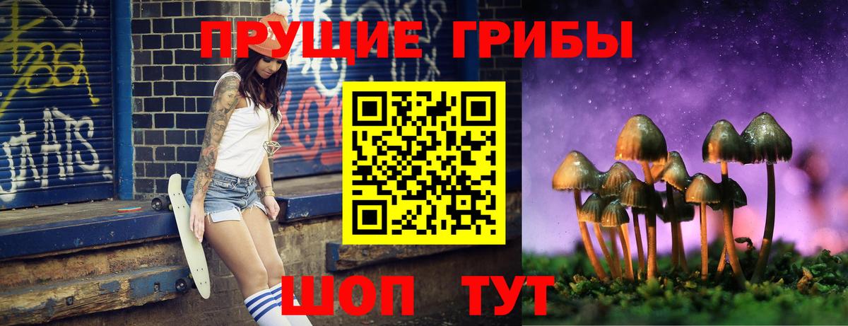Псилоцибиновые грибы Psilocybine cubensis  Вход с VPN  Псилоцибиновые грибы мицелий  Дивногорск 